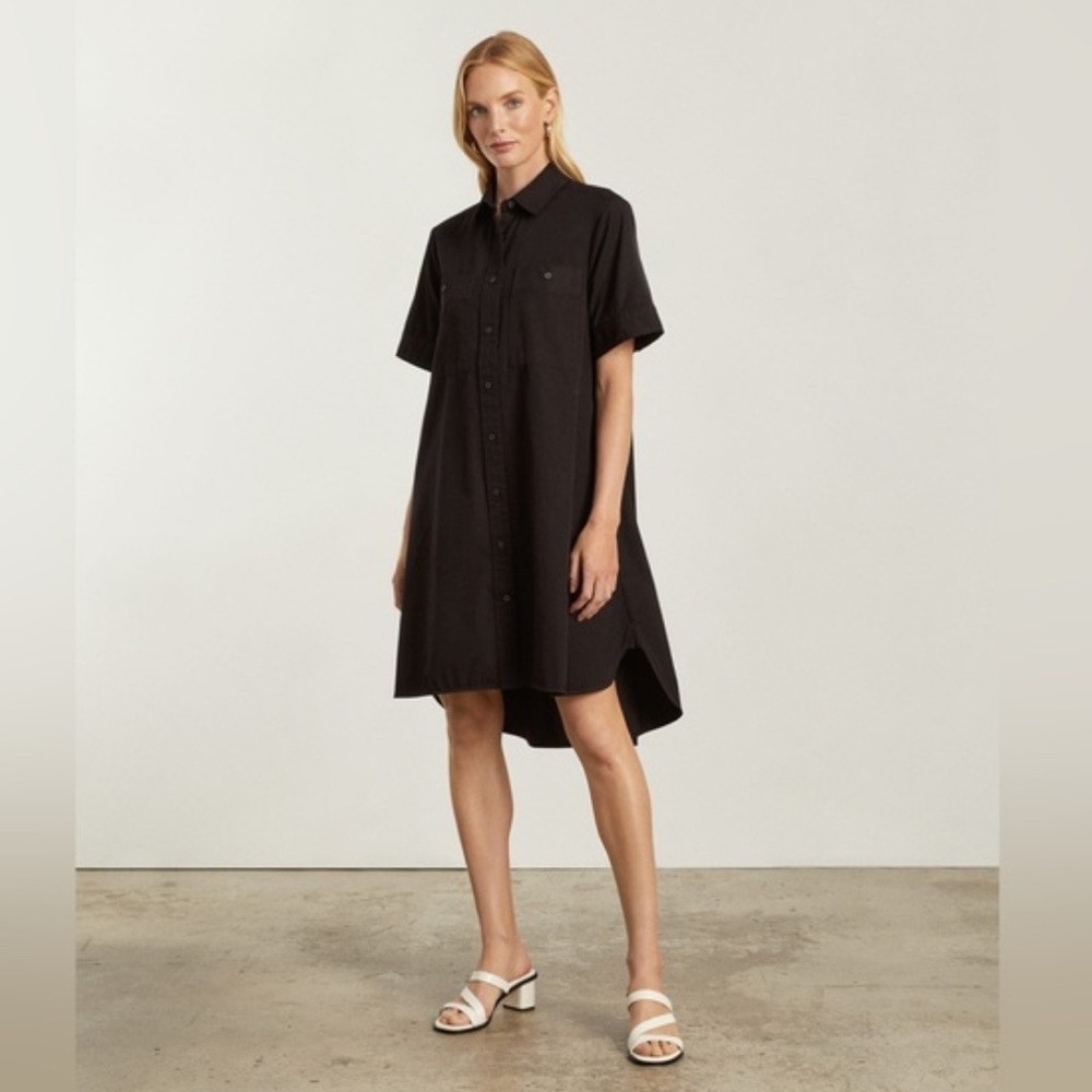 Everlane The Daytripper Dress